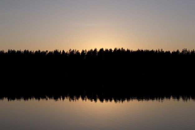 Photo silhouettes d'arbres près du lac contre le ciel au coucher du soleil