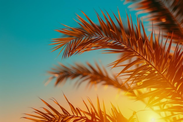 Des silhouettes de couchers de soleil tropicaux Des feuilles de palmiers contre un ciel chaud