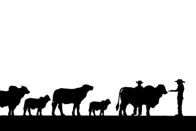 Photo silhouettes de cow-boys et de bovins sur fond blanc