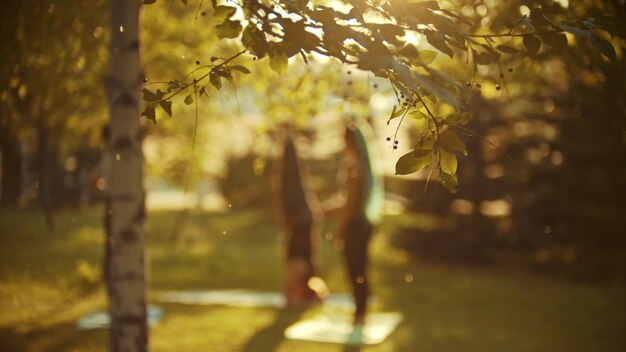 Silhouettes de deux jeunes femmes faisant du yoga dans le parc entouré d'arbres verts au coucher du soleil