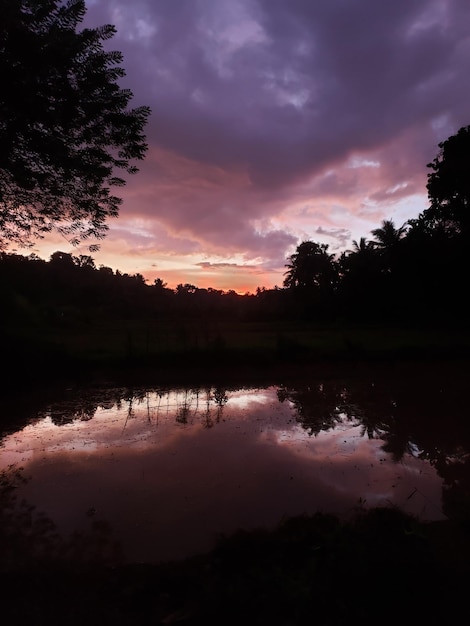 Silhouettes du crépuscule Ombres panoramiques dans le ciel nocturne Silhouettes des crépuscules Ombres panoramaires dans