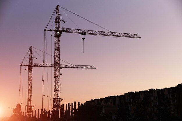 Silhouettes de grues de grande hauteur contre le ciel coucher de soleil rose bleu.