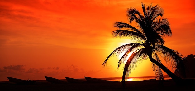 Silhouettes de palmier et ciel nuageux incroyable au coucher du soleil sur la mer tropicale avec des bateaux