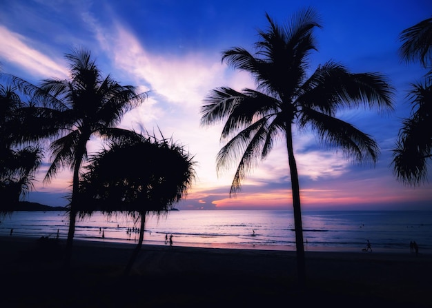 Photo silhouettes de palmiers au coucher du soleil sur la mer thaïlande