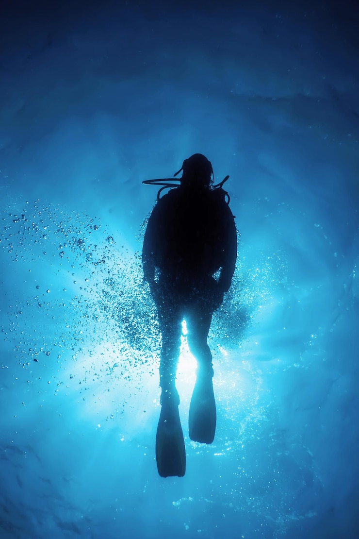 Photo les silhouettes des plongeurs dans l'eau bleue claire