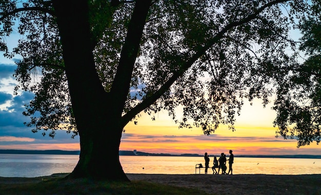 Silhouettes Silhouettes sombres d'un groupe de personnes sous un grand arbre