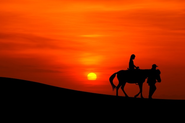 Sillhouette d'un voyage à cheval avec coucher de soleil