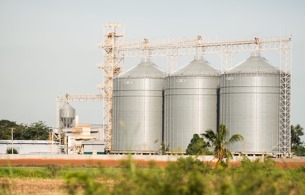 Le silo dans la production d&#39;aliments pour animaux