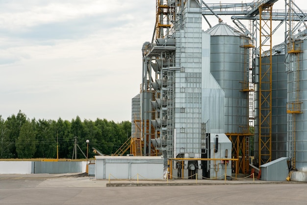 Silos d'argent sur l'agro-usine de fabrication pour le traitement, le séchage, le nettoyage et le stockage des produits agricoles farine céréales et grains Grands barils de fer de grain Ascenseur de grenier