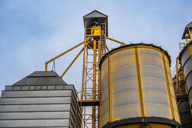 Silos sur le complexe agro-industriel avec ligne de nettoyage et de séchage des graines pour le stockage des grains