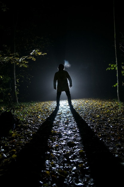 Siluette d'homme dans la forêt la nuit