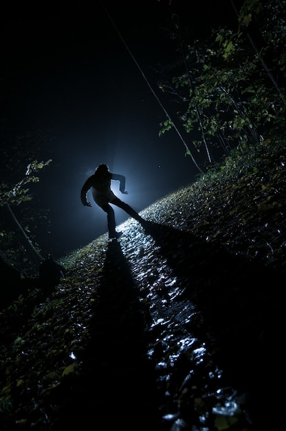 Siluette D'homme Dans La Forêt La Nuit