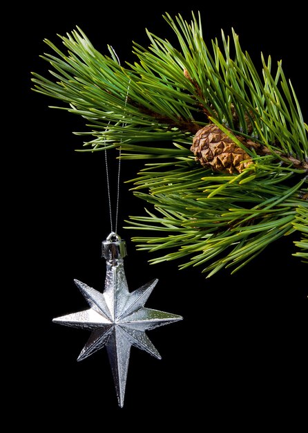 Silver star, pins de la branche sur fond sombre, toy cristmas