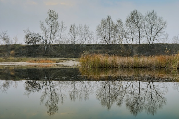 Simmetry et réflexions