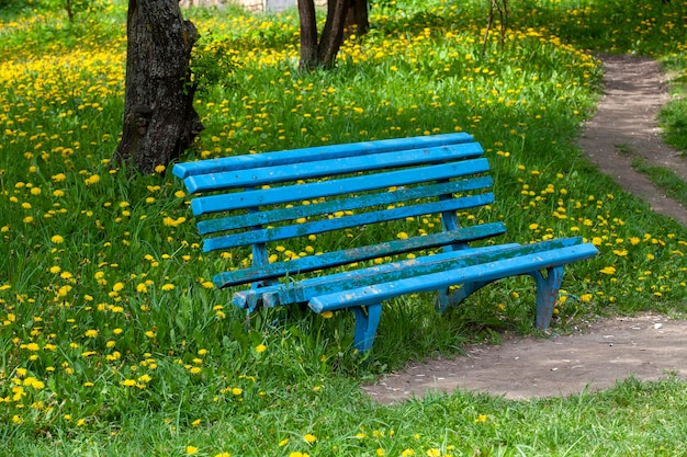 Un simple banc en bois dans le parc