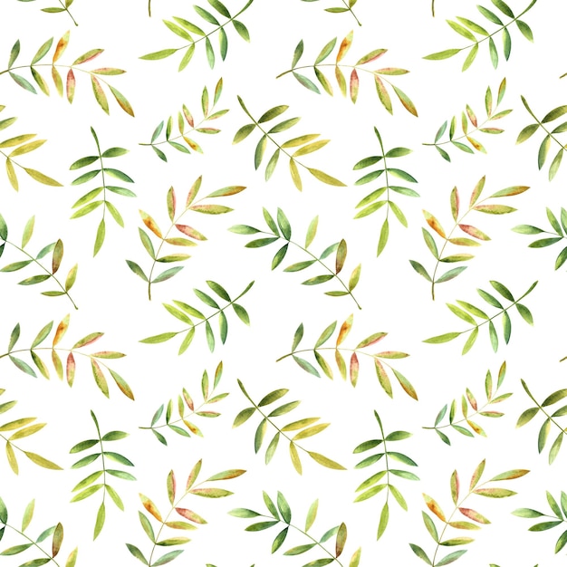 Un simple motif harmonieux de feuilles d'aquarelle sur fond blanc