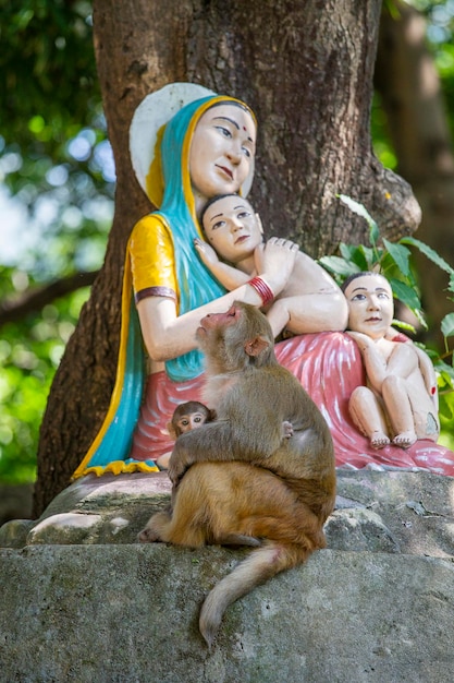 Singe macaque avec un bébé à côté d'une statue de la Vierge et des enfants à Rishikesh Inde