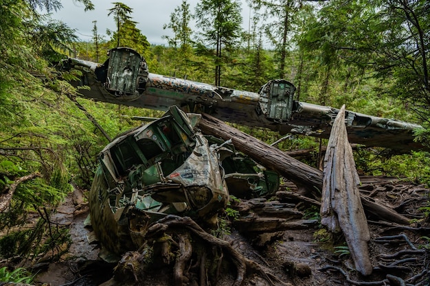 Le site de l'accident de l'avion de Canso