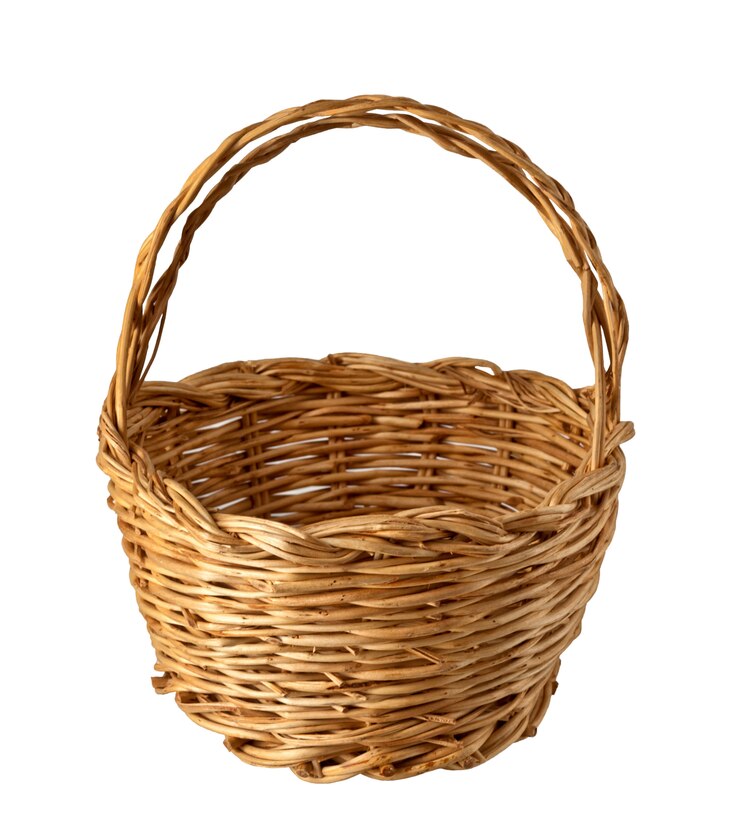 Photo skep à la main