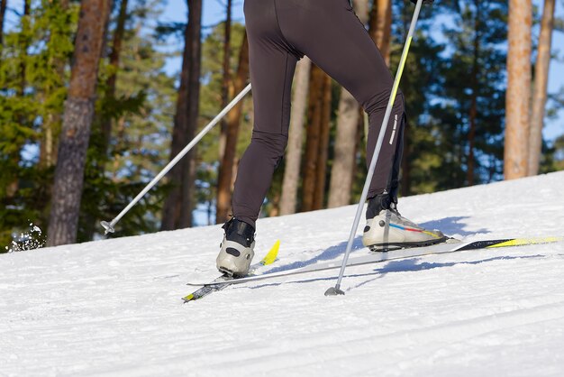 Ski de fond en hiver ensoleillé ski de fond libre