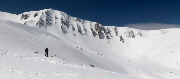 Skier dans les montagnes enneigées hiver freeride sport extrême