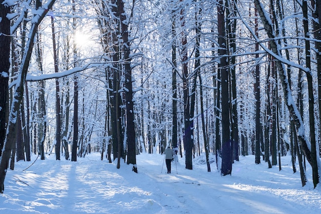 Skieur dans la forêt d'hiver avec neige profonde