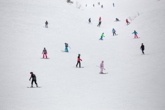 Photo les skieurs et les snowboarders skient dans les carpates