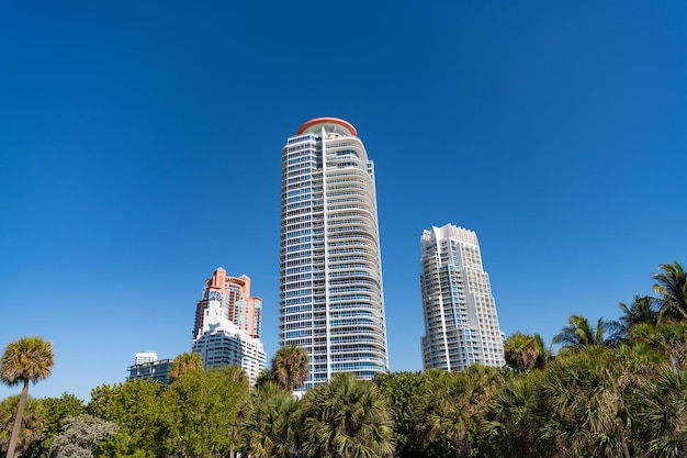 Skyline urbaine avec des gratte-ciel et des palmiers sur ciel bleu à South Beach USA