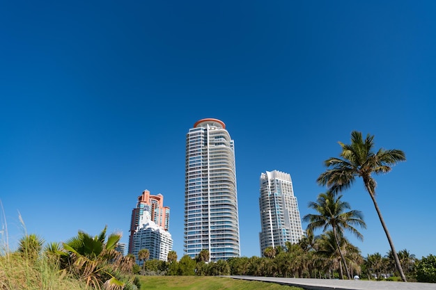 Skyline urbaine avec des gratte-ciel et des palmiers dans un parc tropical sur ciel bleu à South Beach USA