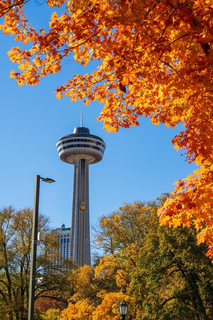 Skylon Tower automne feuilles d'érable sur ciel bleu Feuillage d'automne à Niagara Falls City Ontario Canada