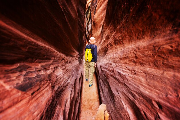 Slot canyon dans Grand Staircase Escalante National Park, Utah, USA. Formations de grès colorées inhabituelles dans les déserts de l'Utah.