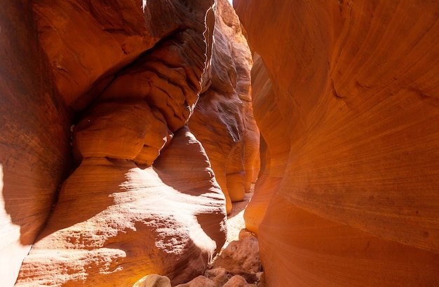 Slot canyon dans le parc national Grand Staircase Escalante, Utah, USA. Les formations de grès colorées inhabituelles dans les déserts de l'Utah sont une destination populaire pour les randonneurs.