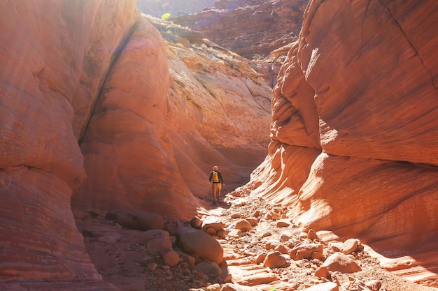 Slot canyon dans le parc national Grand Staircase Escalante, Utah, USA. Les formations de grès colorées inhabituelles dans les déserts de l'Utah sont une destination populaire pour les randonneurs.