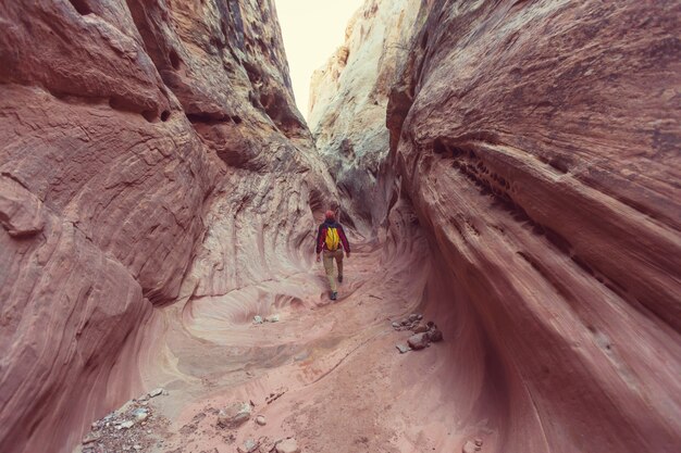 Slot canyon dans le parc national Grand Staircase Escalante, Utah, USA. Les formations de grès colorées inhabituelles dans les déserts de l'Utah sont une destination populaire pour les randonneurs.