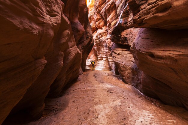 Slot canyon dans le parc national Grand Staircase Escalante, Utah, USA. Les formations de grès colorées inhabituelles dans les déserts de l'Utah sont une destination populaire pour les randonneurs.