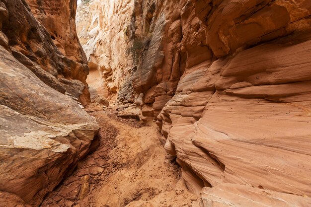 Slot canyon dans le parc national Grand Staircase Escalante, Utah, USA. Les formations de grès colorées inhabituelles dans les déserts de l'Utah sont une destination populaire pour les randonneurs.