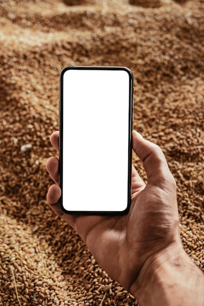 Smartphone à disposition sur le fond du grain moissonné