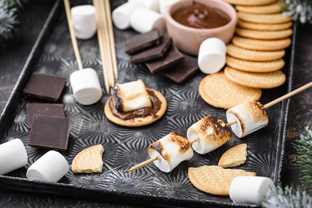 Smores avec du chocolat à la guimauve et des craquelins