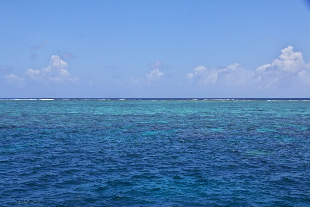 Snorkeling sur la Grande Barrière de Corail, Australie