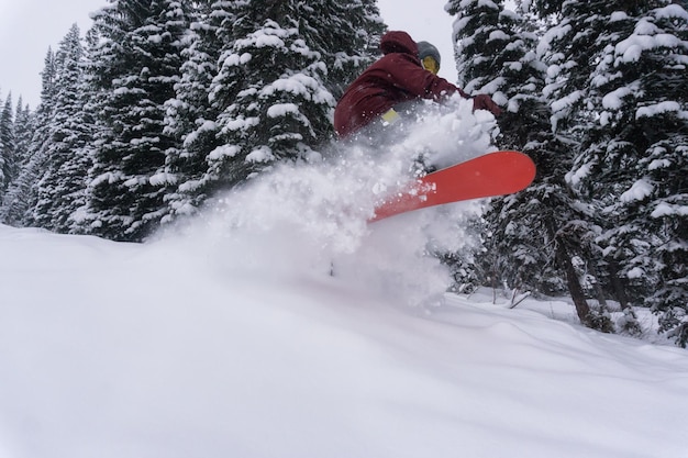 Snowboard dans la neige fraîche