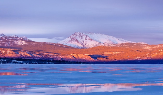 Snowy Mt Laurier lac gelé Laberge Yukon Canada