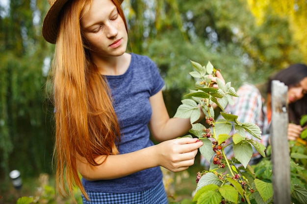 Sœurs. Heureuse petite fille pendant la cueillette des baies dans un jardin à l'extérieur. Amour, famille, mode de vie, récolte, concept d'automne. Gai, sain et charmant. Alimentation biologique, agriculture, jardinage.