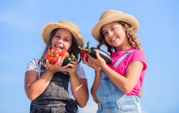 Des sœurs heureuses travaillent dans une ferme familiale. Nutrition naturelle en vitamines. Vendre un concept de cuisine locale. Filles enfants mignons dans l'agriculture de chapeaux. Enfants cueillant des légumes. Légumes organiques. Marché aux légumes.