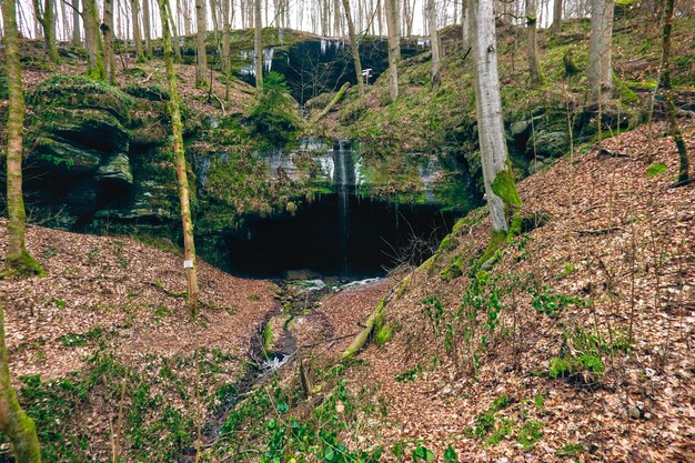 La soi-disant grotte de l'ours dans la forêt de Plalatinate