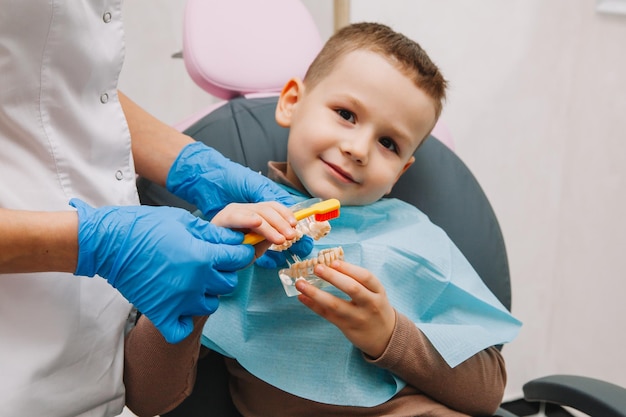 Soins dentaires. Dentiste avec un petit patient qui apprend à se brosser les dents sur une prothèse.