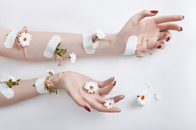 Soins des mains et fleurs de camomille