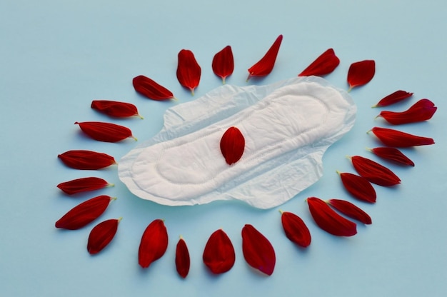 Soins de santé féminins et gynécologiques Cycle menstruel Soins d'hygiène pendant les jours critiques rembourrage féminin Propre et sûr Moyens de protection contre les menstruations