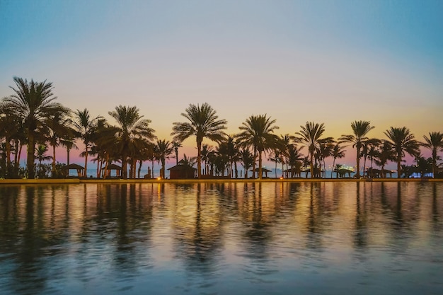 Soirée au paradis tropical. Palmiers sur le golfe Persique après le coucher du soleil. Dubai.