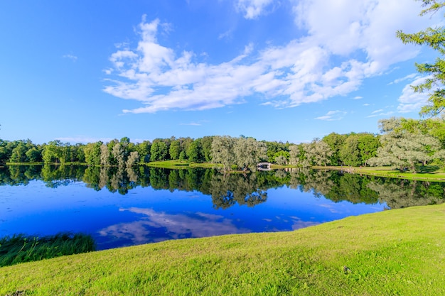 Soirée d'été dans le parc avec un lac. Paysage d'été.