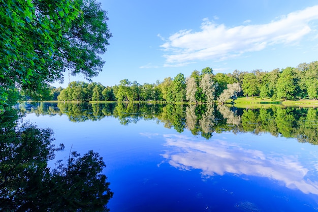 Soirée d'été dans le parc avec un lac.